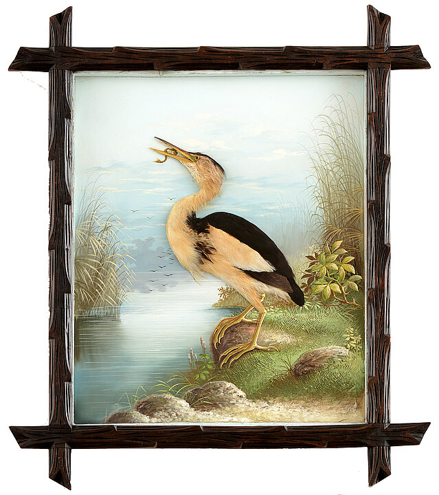 Bild in einem dunkelbraunen Bilderrahmen. Das Bild zeigt einen dreidimensionalen Vogel mit echten Federn, der einen Frosch im Mund hat und an einem Fluss steht. Der Hintergrund ist gemalt.