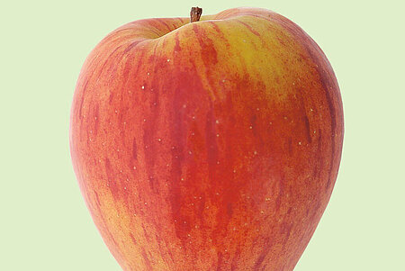 Foto von einem rot-gelben Apfel.