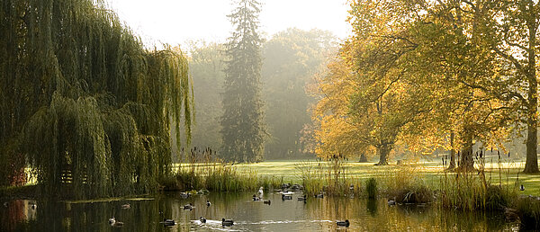 Schlosspark und Gärten