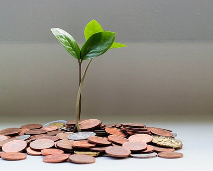 Zu sehen sind Münzen, die am Tisch liegen und aus denen eine grüne Pflanze wächst.