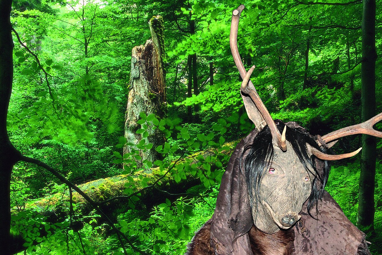 Photography of a natural green mixed forest. In front of it stands a man wearing a mask. The mask resembles a wild boar, but has deer antlers.