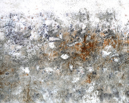 Camilla Alberti, Detail eines bio-bedruckten Textils mit Roter Beete, Eisenpulver, Rinde and lichens. Courtesy the artist