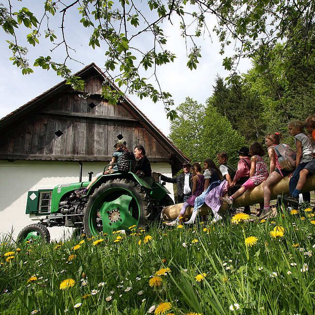 Einzug des Maibaumes