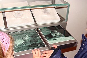 Mit Quiz: Jägerlatein für „schlaue Füchse“ Mit Quiz: Jägerlatein für „schlaue Füchse“