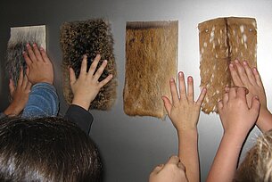 Jägerlatein für „schlaue Füchse“ Jägerlatein für „schlaue Füchse“