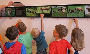 Bauernschlau – Butter, Brot und Bauernhof Bauernschlau – Butter, Brot und Bauernhof