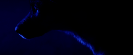 SUPERFLEX, "Beyond The End Of The World", 2021, Filmstill